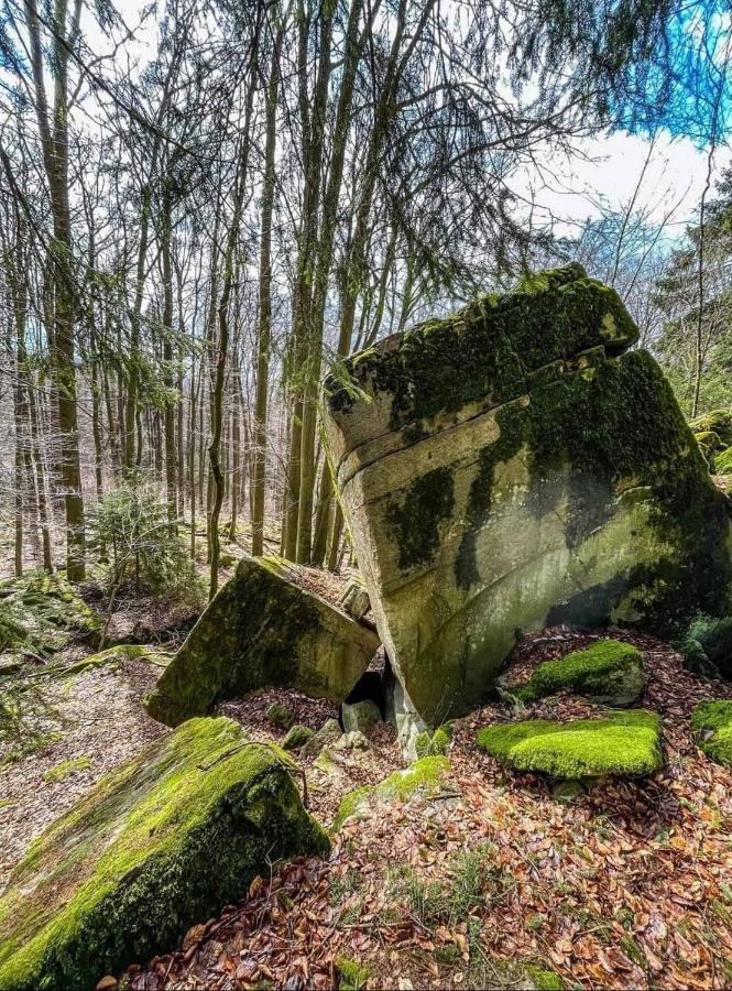 Blick Punkt Tann (Rhon) Exterior foto